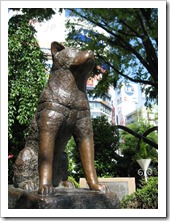 estátua de Hachiko